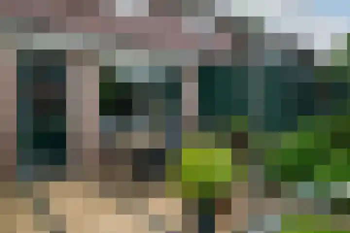 Harn 27 Midwoud thumbnail 17