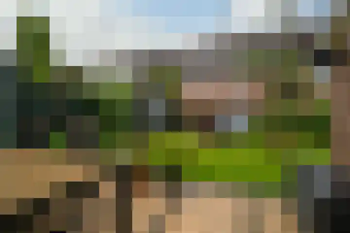 Harn 27 Midwoud thumbnail 18