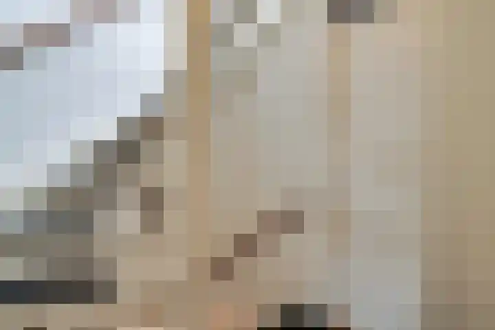 Harn 27 Midwoud thumbnail 21