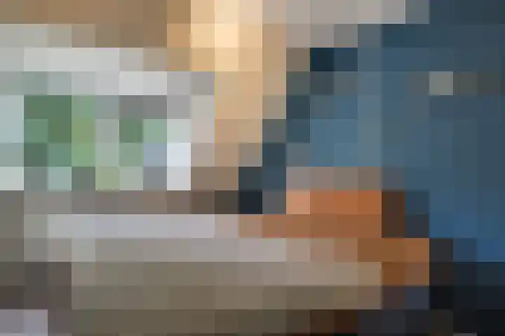 Harn 27 Midwoud thumbnail 22