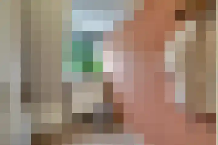 Harn 27 Midwoud thumbnail 25