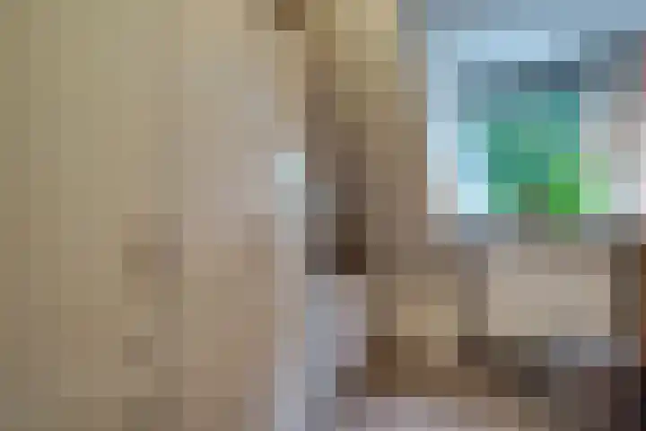 Harn 27 Midwoud thumbnail 26