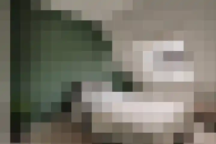 Harn 27 Midwoud thumbnail 28
