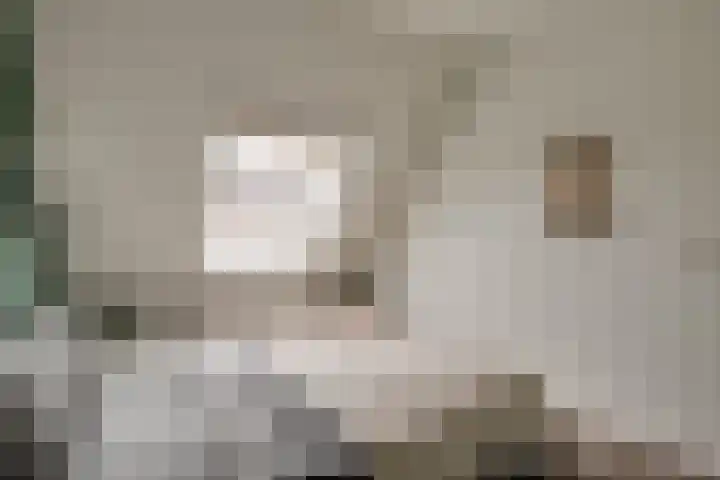 Harn 27 Midwoud thumbnail 29