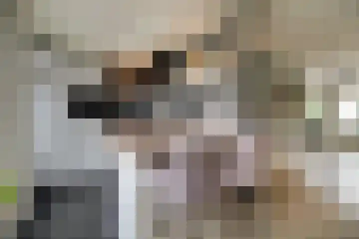 Harn 27 Midwoud foto 3