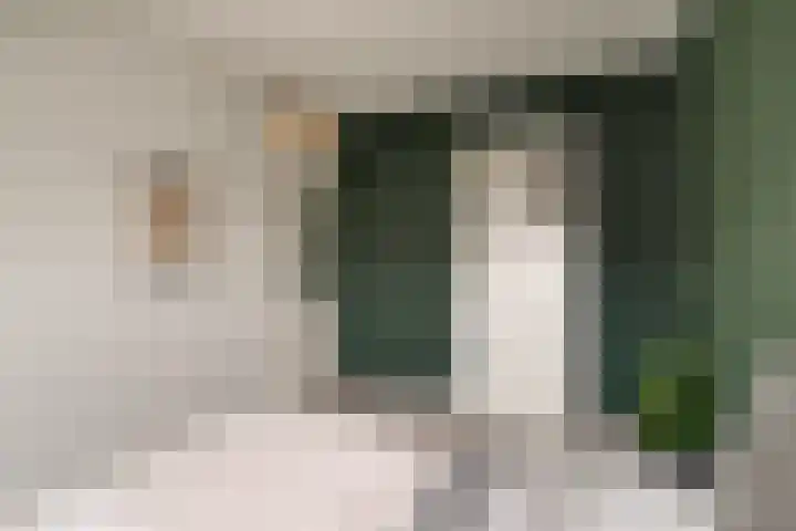 Harn 27 Midwoud thumbnail 30