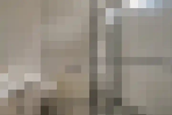 Harn 27 Midwoud thumbnail 31