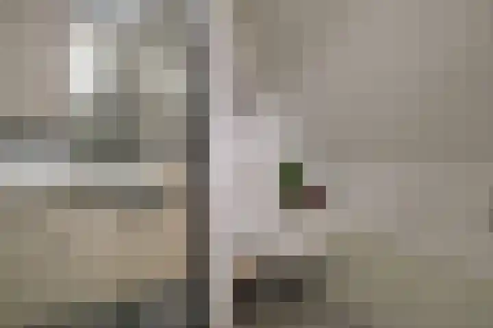 Harn 27 Midwoud thumbnail 32