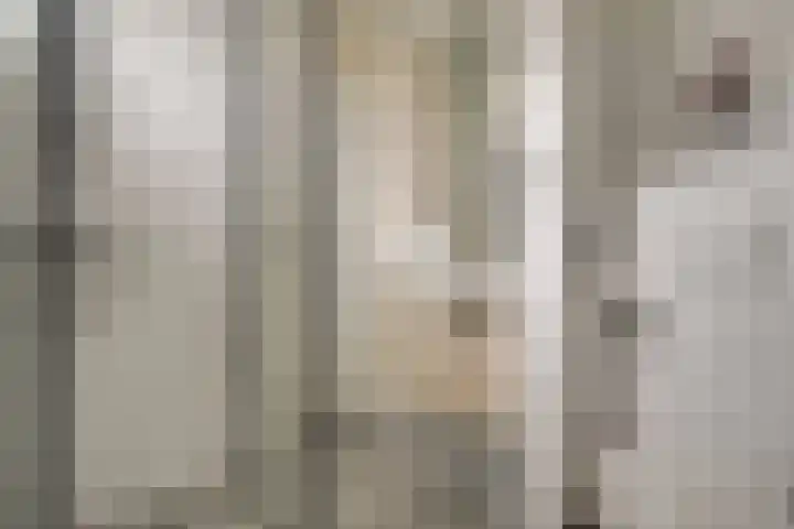 Harn 27 Midwoud thumbnail 33