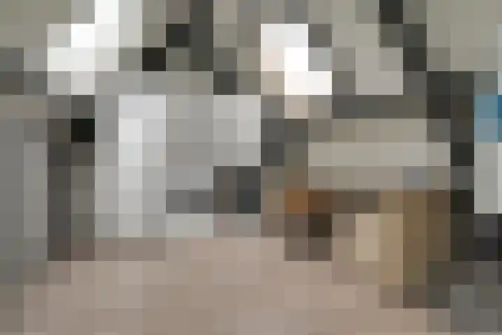 Harn 27 Midwoud thumbnail 36
