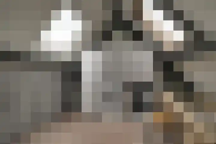 Harn 27 Midwoud thumbnail 37