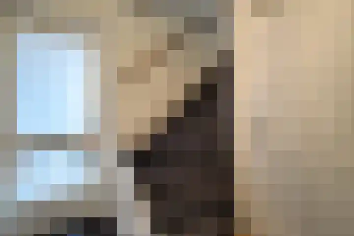 Harn 27 Midwoud thumbnail 4