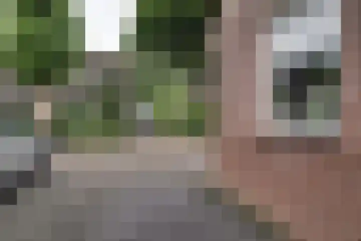 Harn 27 Midwoud thumbnail 41