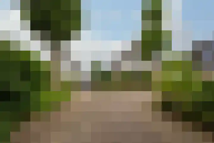 Harn 27 Midwoud thumbnail 42