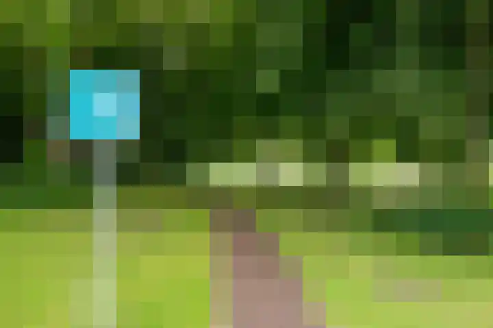 Harn 27 Midwoud thumbnail 43