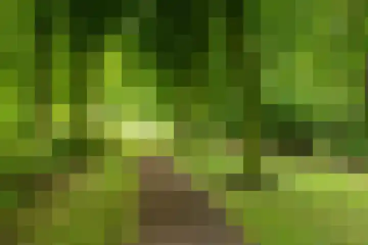 Harn 27 Midwoud thumbnail 44
