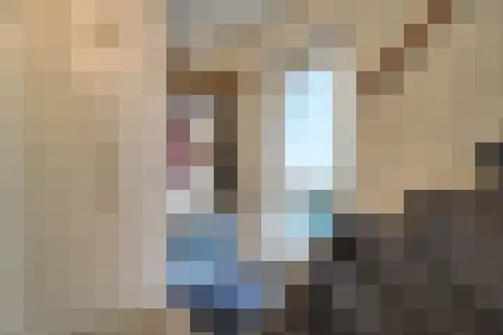 Harn 27 Midwoud thumbnail 5