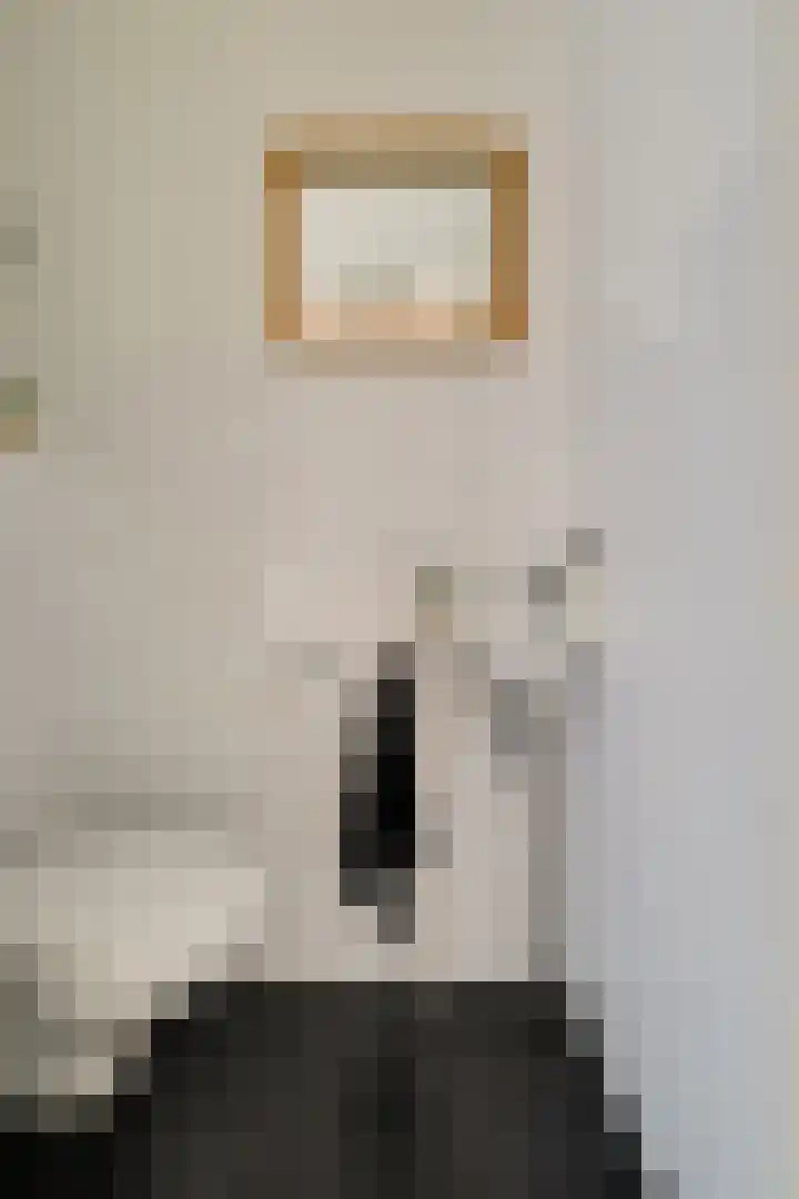 Harn 27 Midwoud thumbnail 6