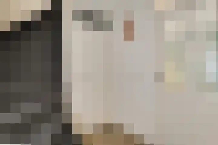 Harn 27 Midwoud thumbnail 7