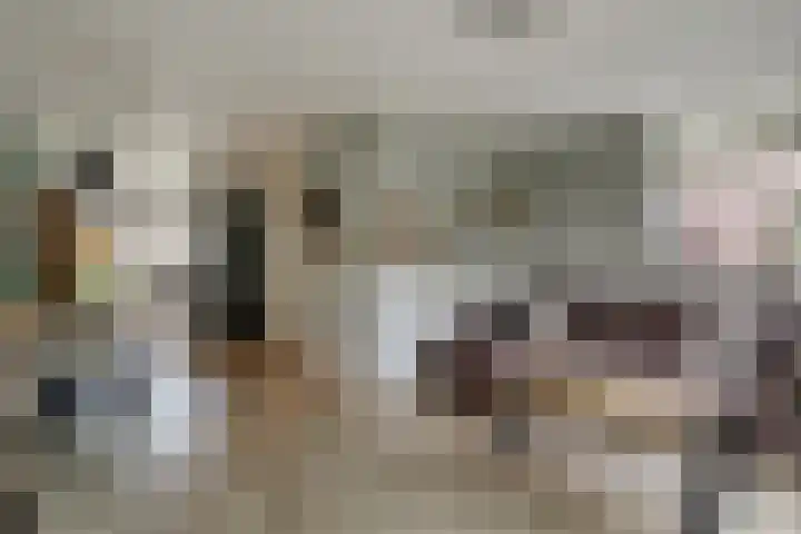 Harn 27 Midwoud thumbnail 8