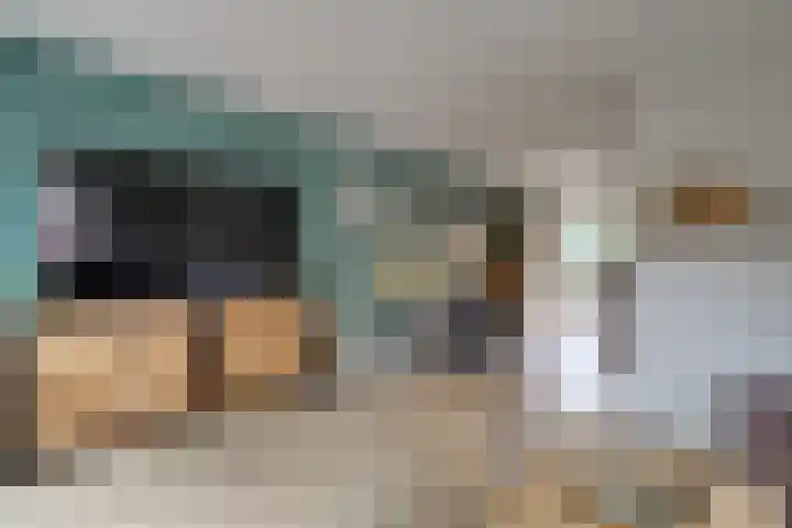 Harn 27 Midwoud thumbnail 9