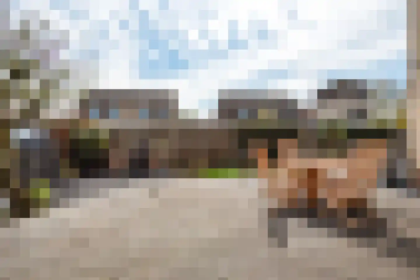 Harnas 1 Oss thumbnail 30