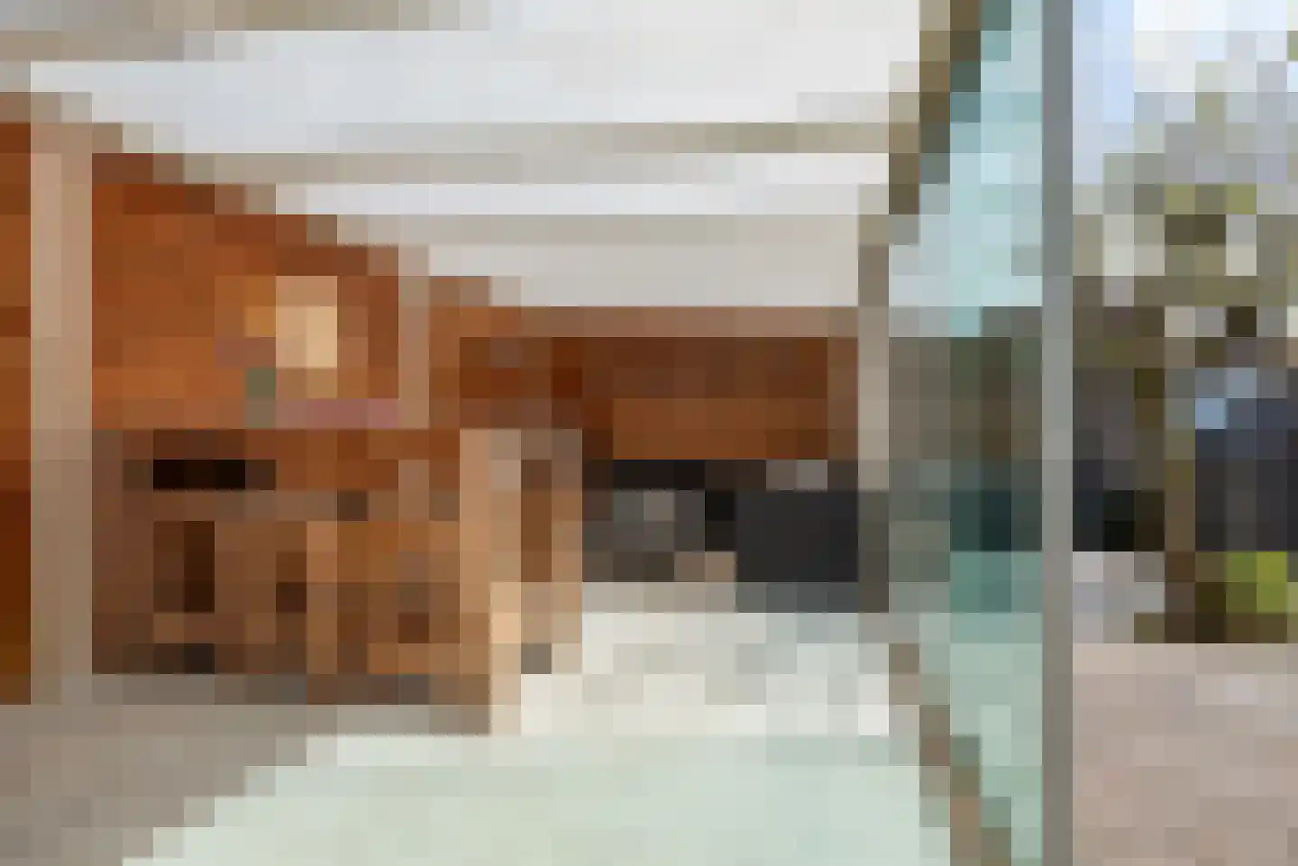 Harnas 1 Oss thumbnail 32