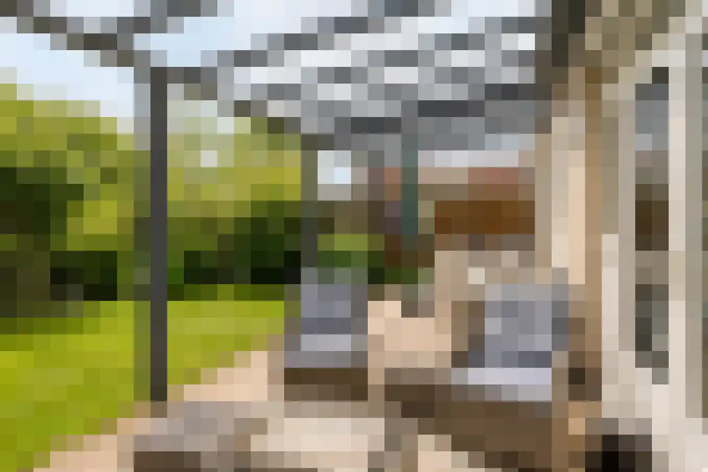 Harnas 124 Oss thumbnail 23