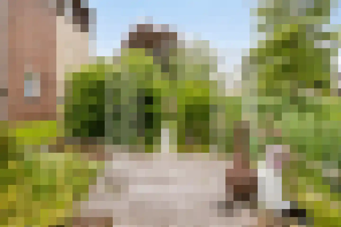 Harnas 124 Oss thumbnail 25