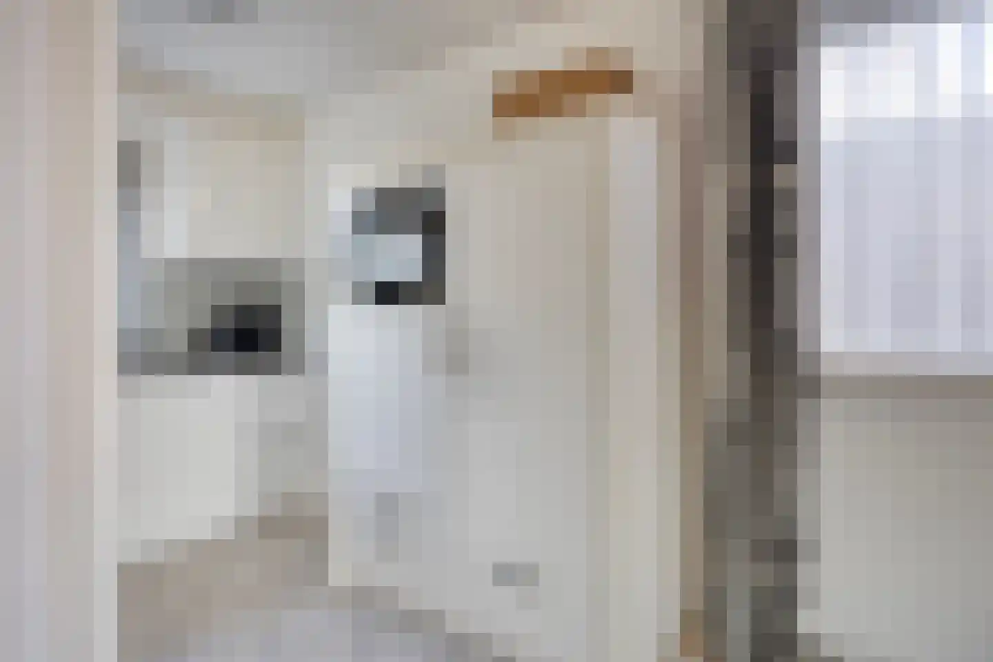 Harnas 124 Oss thumbnail 9