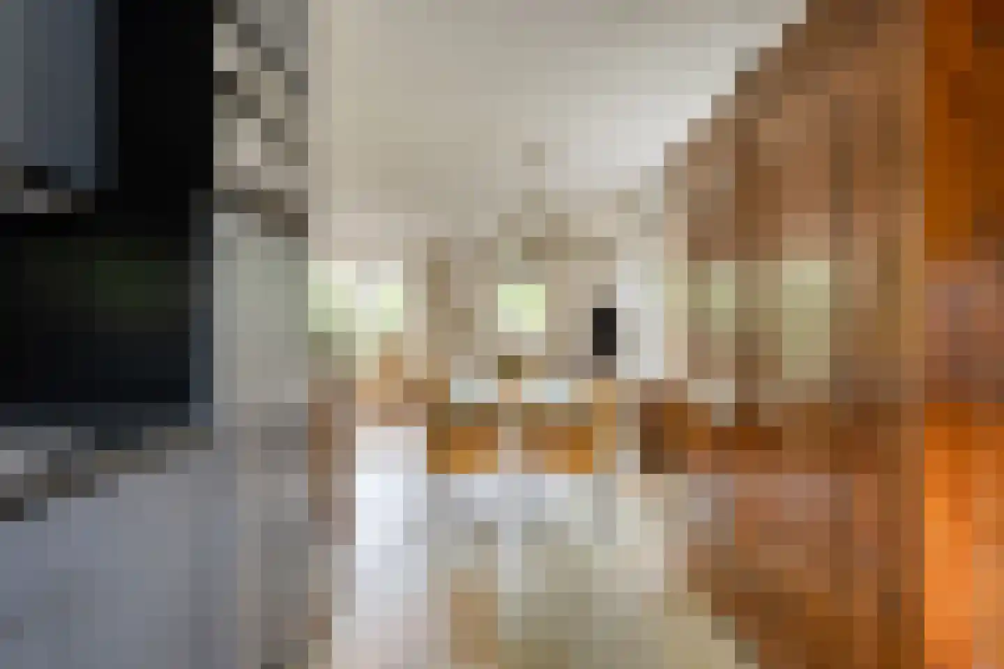 Harnas 32 Oss thumbnail 19
