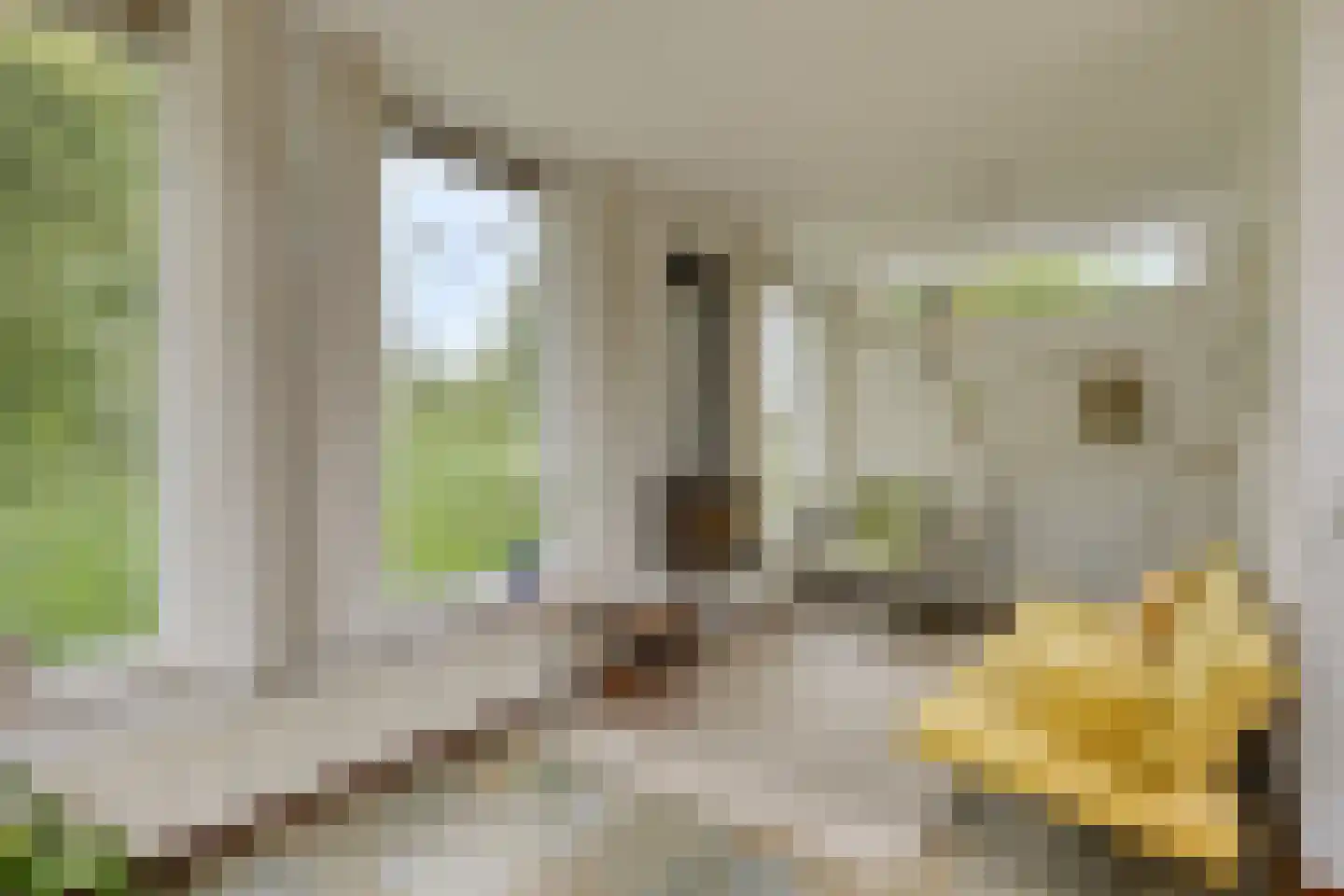 Harnas 32 Oss thumbnail 21