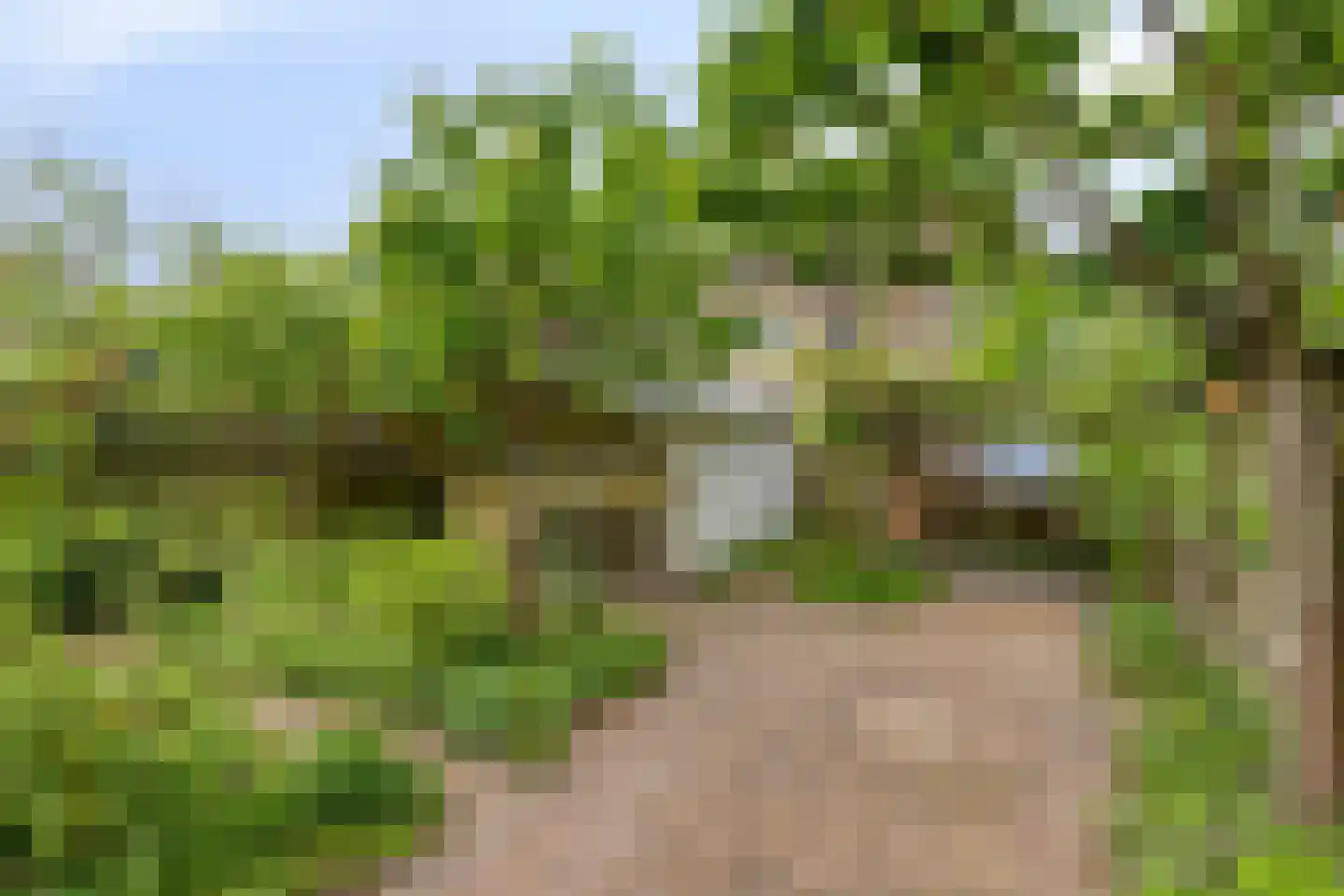 Harnas 32 Oss thumbnail 41