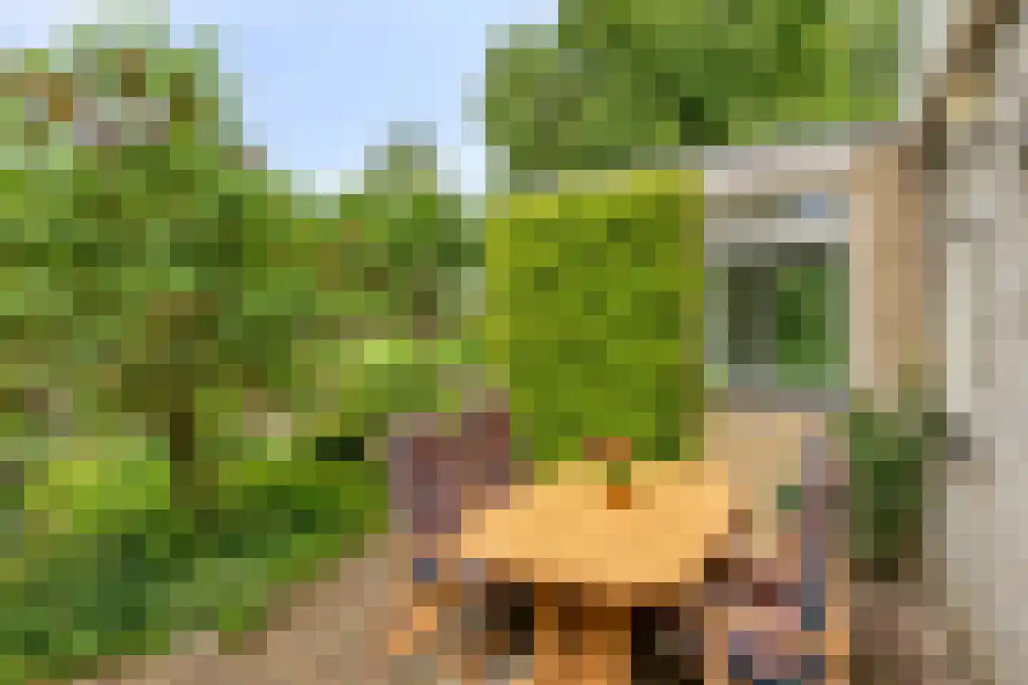 Harnas 32 Oss thumbnail 42