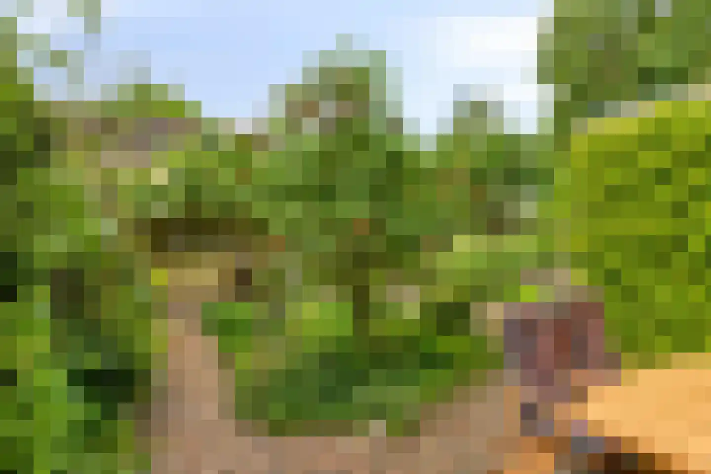 Harnas 32 Oss thumbnail 43