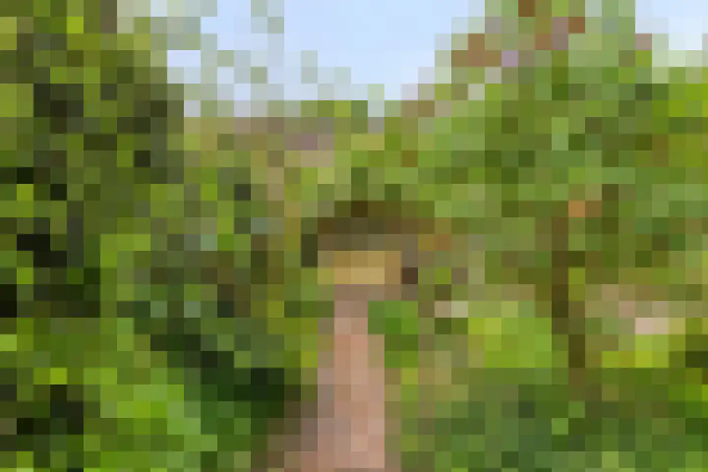 Harnas 32 Oss thumbnail 44