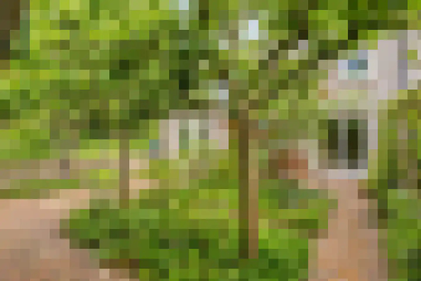Harnas 32 Oss thumbnail 45