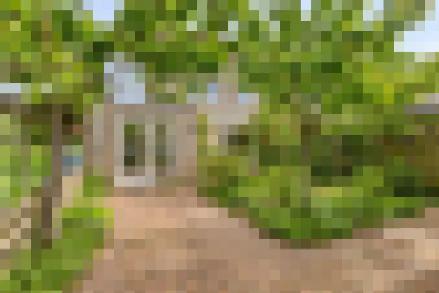 Harnas 32 Oss thumbnail 46