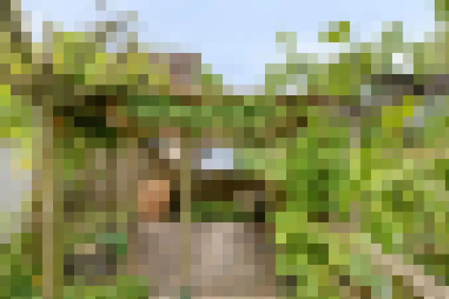 Harnas 32 Oss thumbnail 48