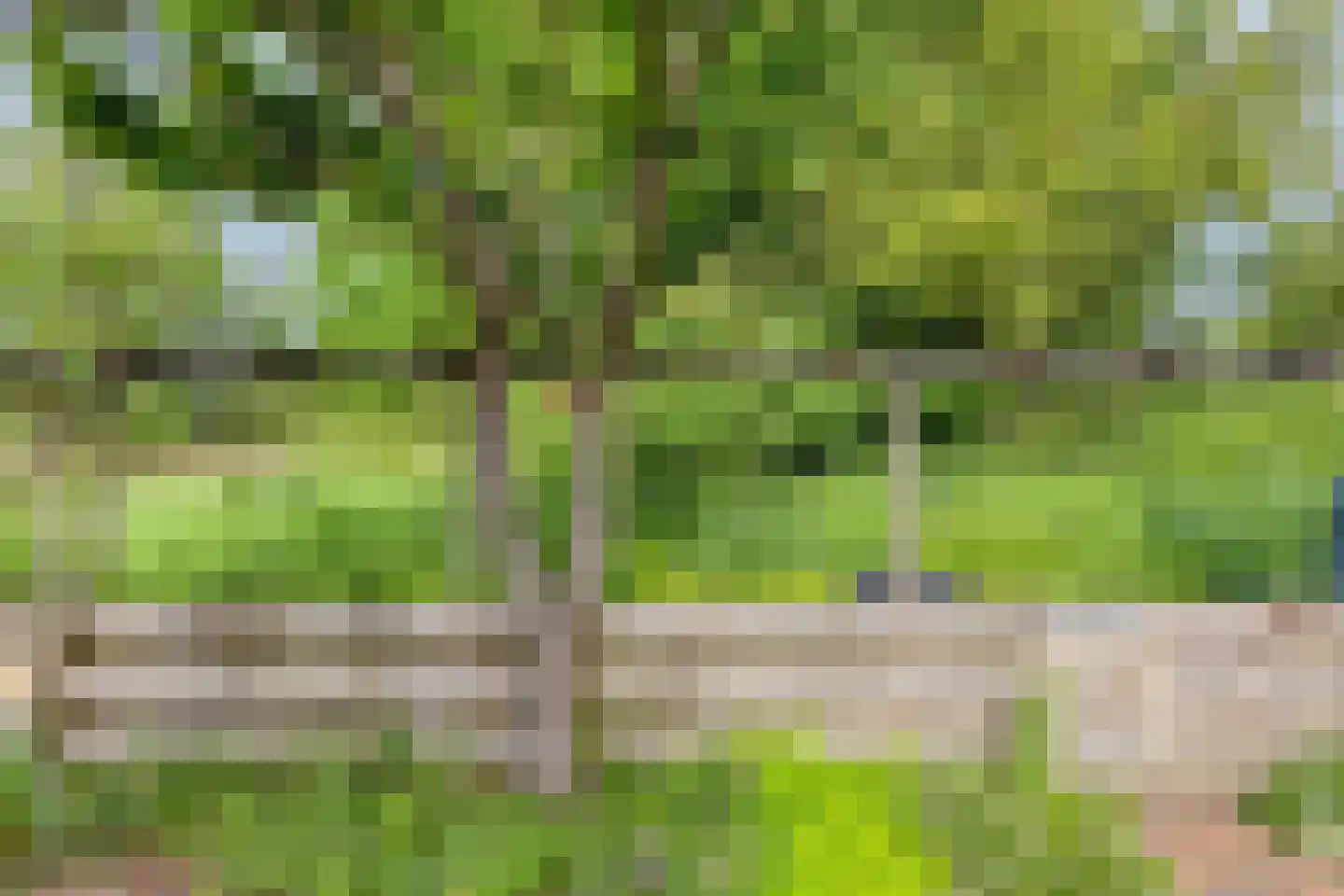 Harnas 32 Oss thumbnail 49