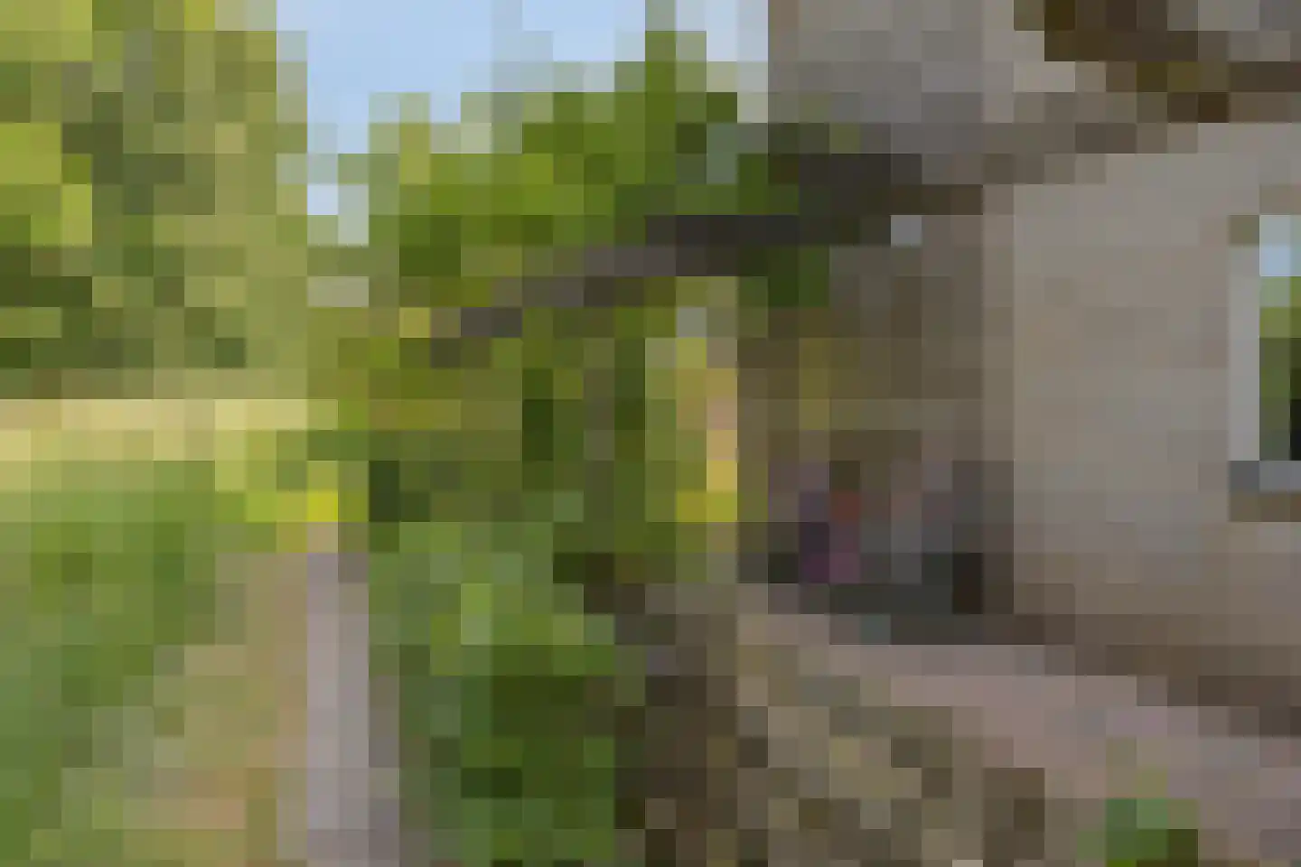 Harnas 32 Oss thumbnail 51