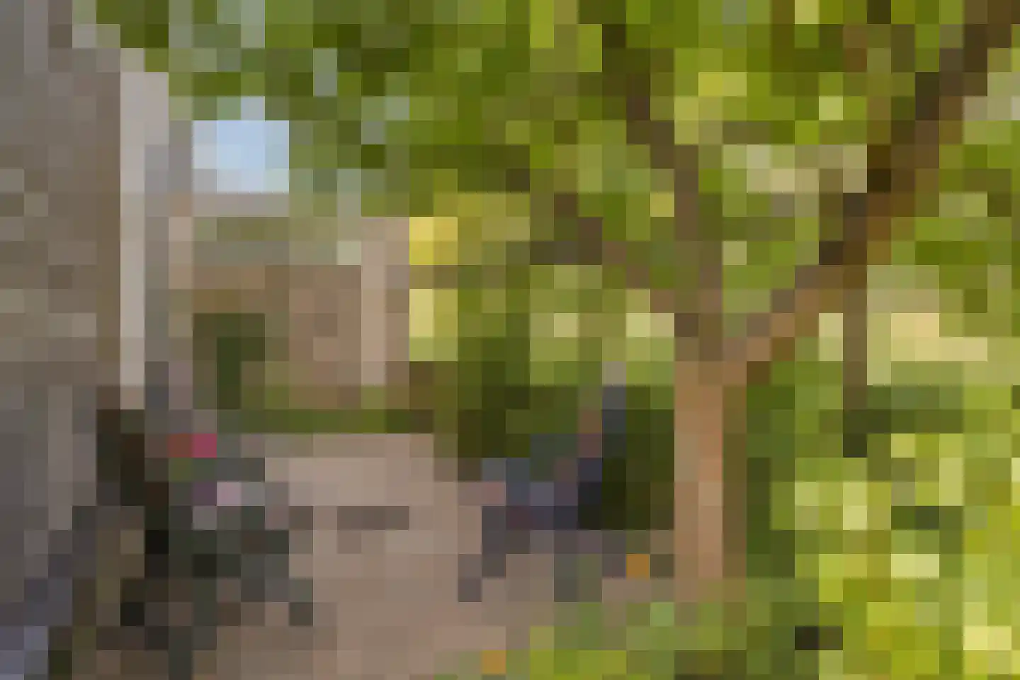 Harnas 32 Oss thumbnail 52