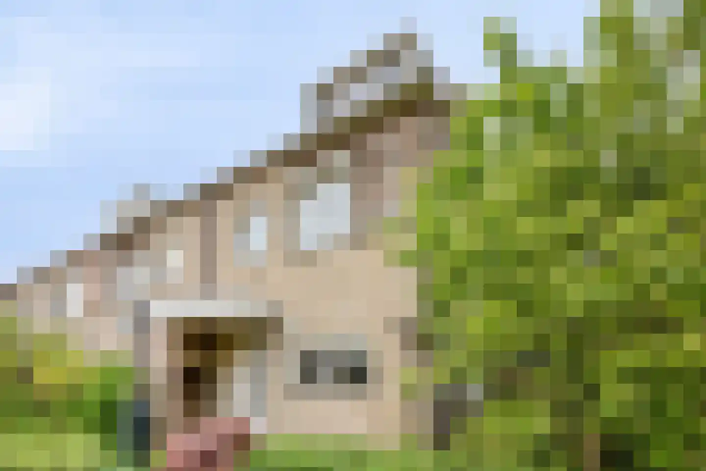 Harnas 32 Oss thumbnail 59
