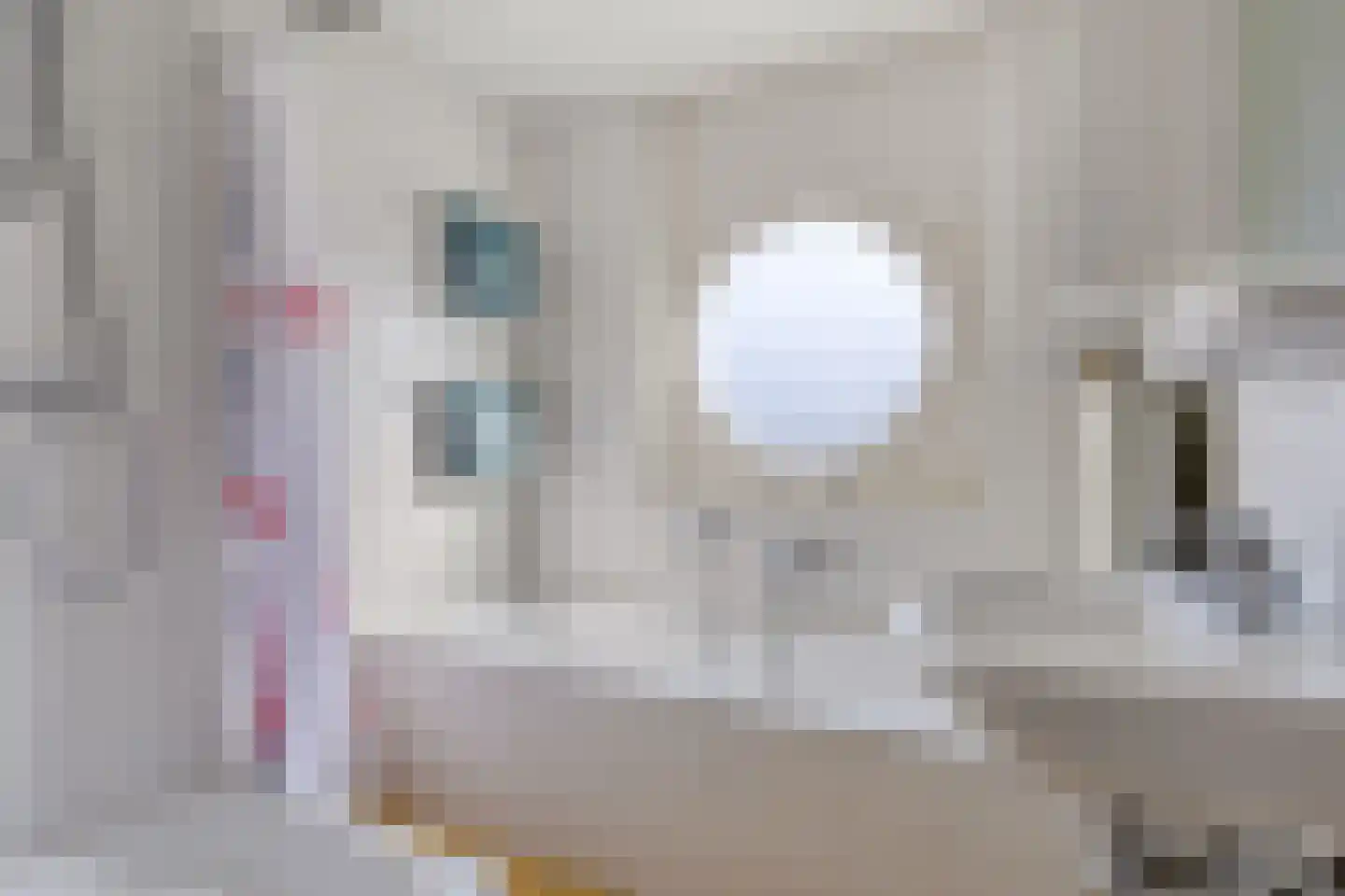 Harnas 43 Oss thumbnail 19