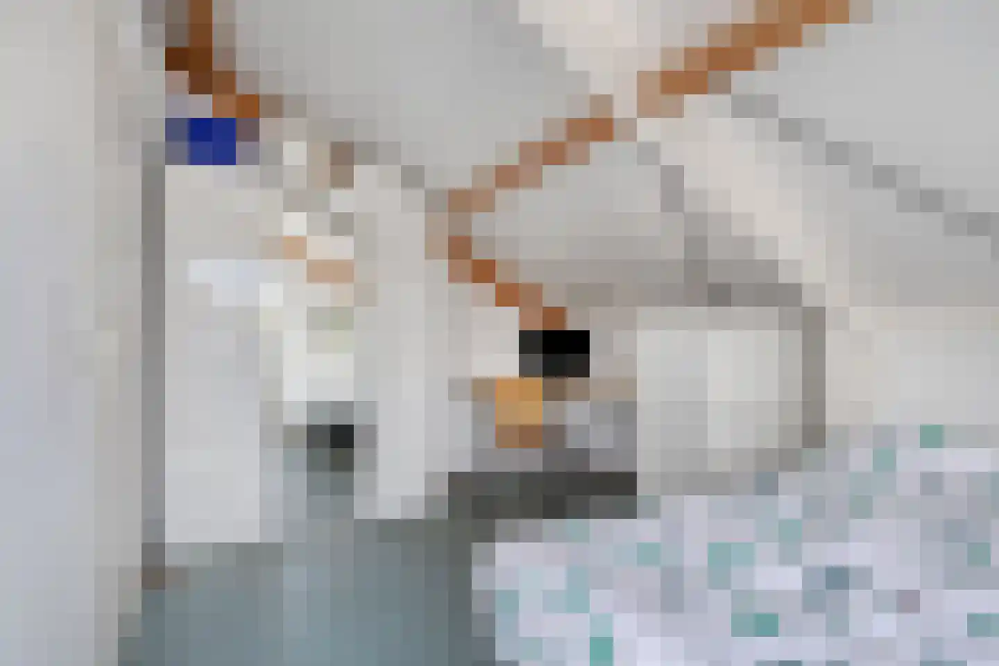 Harnas 43 Oss thumbnail 27