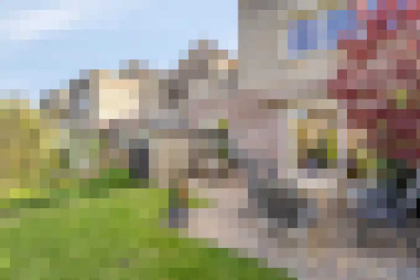 Harnas 43 Oss thumbnail 33