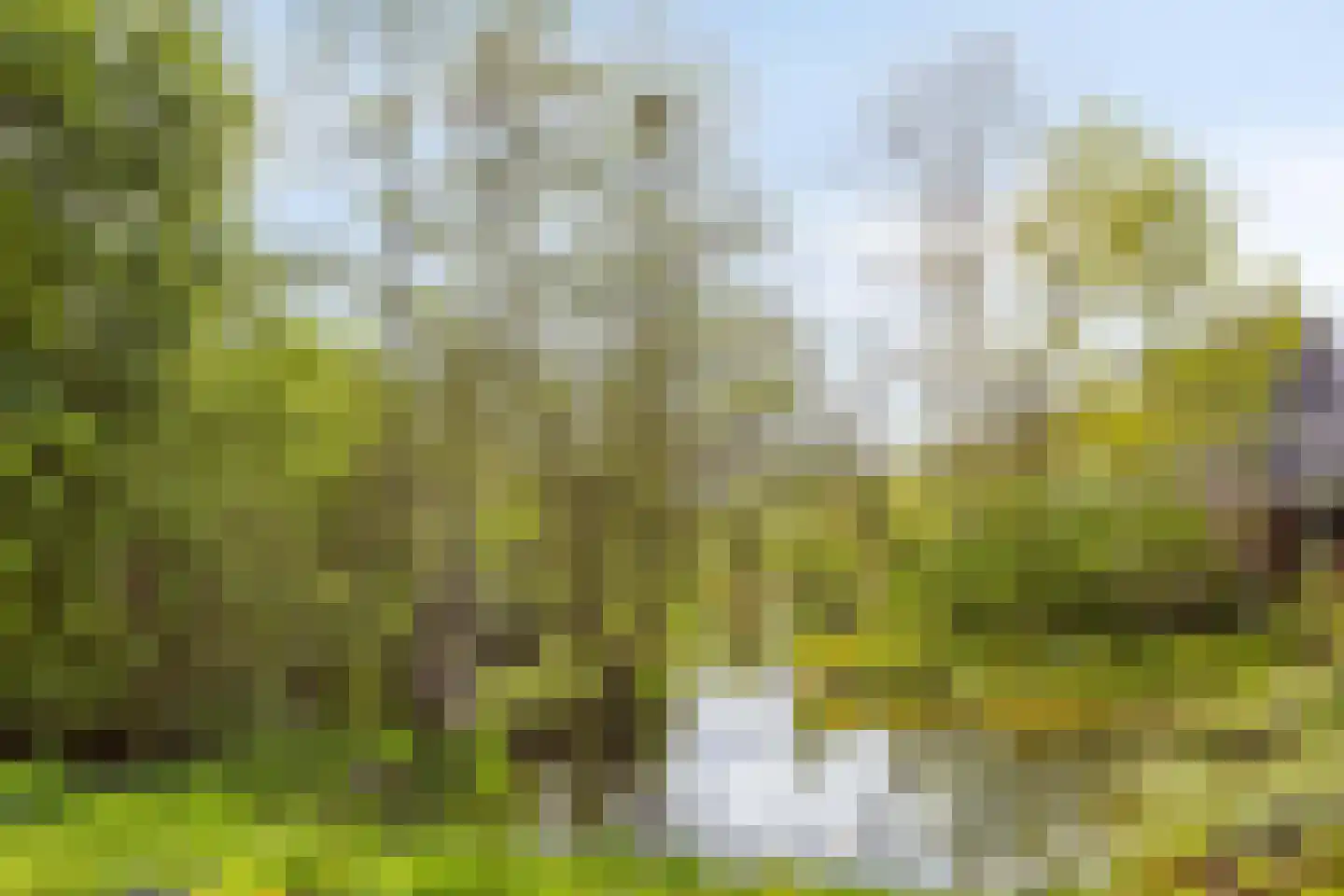 Harnas 43 Oss thumbnail 40