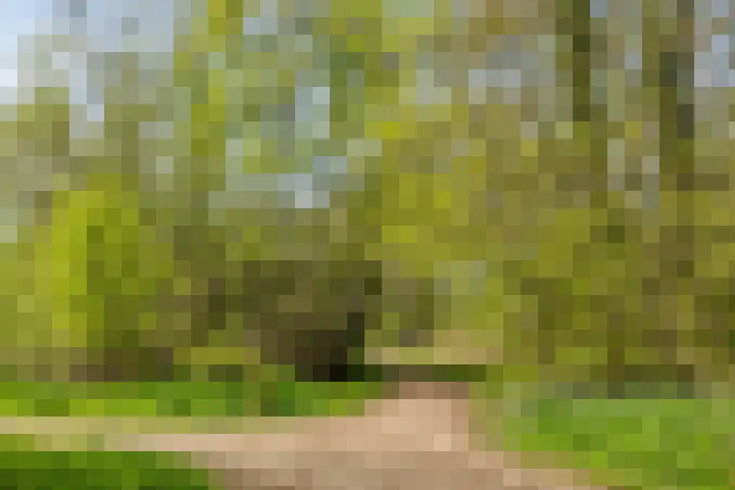 Harnas 43 Oss thumbnail 42