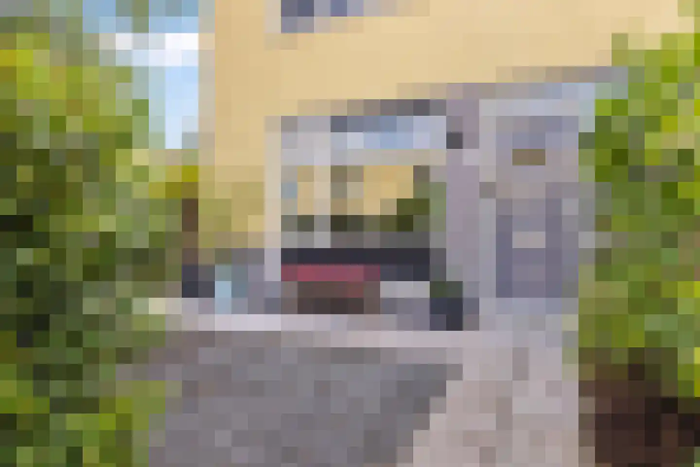Harnaslaan 11 Utrecht thumbnail 7