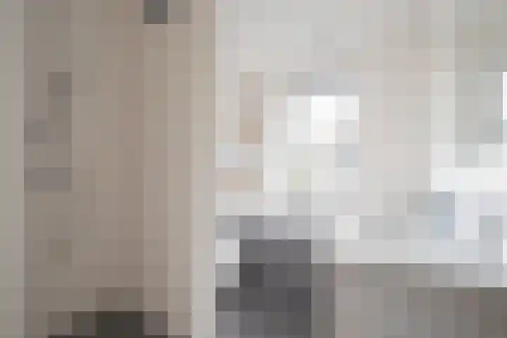 Harnasruwe 19 Maastricht thumbnail 12